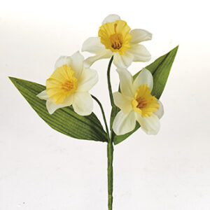 Påskelilje x3 - 16CM