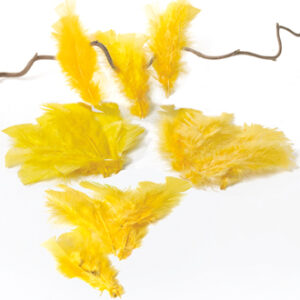 Fjer, gule farver - 15CM, 10/POS