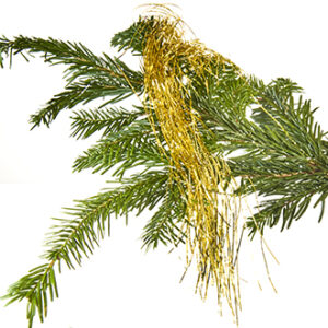 Lamettastrimler á 50cm x1mm, guld - 500/POS
